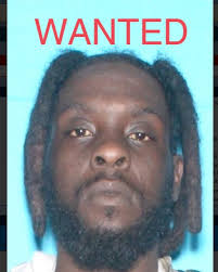 REMEMBER to FOLLOW to help us catch predators