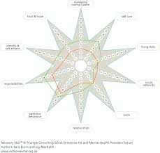 Outcomes Star Chart And Action Plan 2019