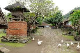 Image result for tenganan