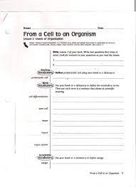 The 7th edition of the apa publication manual requires that the chosen font be accessible (i.e., legible) to all readers and that it be used consistently throughout the paper. Science Worksheet Grade 8 Multiplication Table Worksheet Printable Glencoe Science Student Worksheets Grade Math Mean Color By Number For Middle School Functions And Graphs Mixed Samsfriedchickenanddonuts How Much Pressure Will