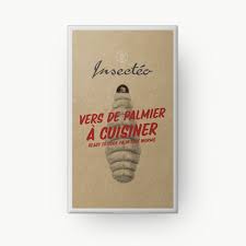 Manger Des Vers De Palmier Comme A Koh Lanta Insectes Comestibles Fr