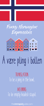 Pig funny sayings vectors (26). 49 Hilarious Norwegian Idioms And Sayings That Will Make You Giggle The Intrepid Guide