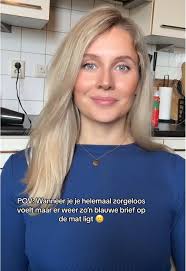 Never ending story met de belastingdienst in Nederland 🥲 #belastingdienst  #trend #voorjou #trending #fyp #carefree #oftochnie