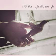 وفي بعض التخلي حياة Arabic Quotes Creativity Quotes Proverbs Quotes