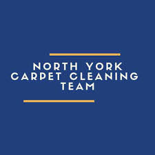 Upholstery cleaning toronto for your sofa or other leather upholstery requires an average of $165, with most costing between $120 and $222. Carpet Cleaner Toronto Steam Clean Area Rug Cleaning North York