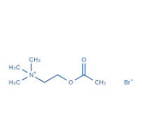 66-23-9|2-Acetoxy-N,N,N-trimethylethanaminium bromide|BLD Pharm