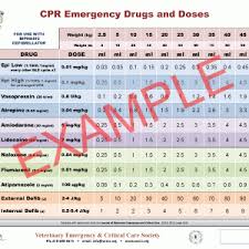 veccs cpr emergency drugs 22 x 27 poster