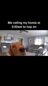 I sniff the camera sometimes my bad