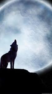 Iphone wallpapers for iphone 12, iphone 11, iphone x, iphone xr, iphone 8 plus high quality wallpapers, ipad backgrounds. Lone Wolf Iphone Wallpapers Top Free Lone Wolf Iphone Backgrounds Wallpaperaccess