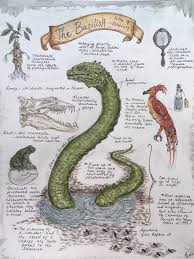 Basilisk Study Print By Calamityforest On Etsy Https Www Etsy Com Ca Listing 685528900 Basi Harry Potter Journal Harry Potter Drawings Harry Potter Creatures