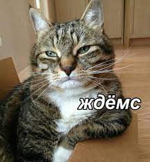 images?q=tbn:ANd9GcR_7EvAa-UxwXmC4EpuGi_
