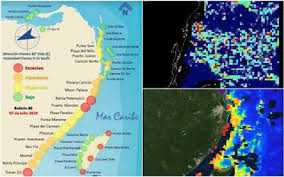 Mapa de las mejores playas de acapulco. Cancun En Alerta Por La Inminente Llegada De Sargazo Noticias Locales Policiacas Sobre Mexico Y El Mundo El Sol De Acapulco Guerrero