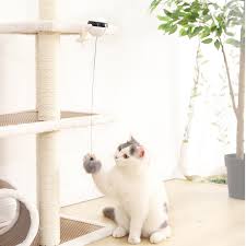 Pet Kedi Oyuncak Elektronik Yo Yo Kaldirma Topu Elektrikli Titreyen Donen Interaktif Bulmaca Yilbasi Yeni Yil Pet Malzemeleri Kedi Oyuncagi Aliexpress