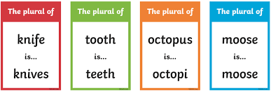 Maybe you would like to learn more about one of these? Https Beecroftacademy Co Uk Documents 5b478066 5d1 6 2020 Phonics Phase 6 Plurals Pdf