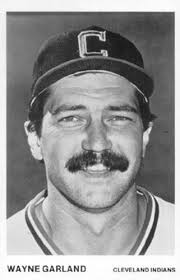 Wayne Garland Gallery