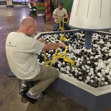 Visit longview mall in longview, tx to shop your favorite stores, enjoy a meal at one of our many restaurants or enjoy entertainment for the entire family. Coal Energy Exhibit Childrens Museum Exhibits Coal Energy Exhibition