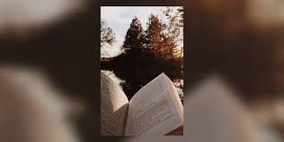 Bacalaureat Limba Romană Mărcile Eului Liric Wattpad