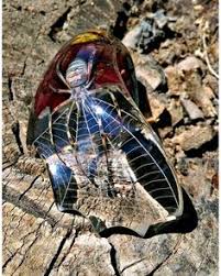 Arbeitsblätter können verschiedene aspekte von insekten thematisieren, so zum beispiel die artenvielfalt, ihre funktion, ihr häufiges vorkommen oder der oft anzutreffende chitinpanzer. 17 Epoxidharz Ideen Harz Epoxidharz Diy Harz