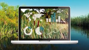 نتيجة بحث الصور عن ‪unu ai‬‏