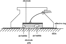 Methods Of Electrodermal Recording Springerlink methods of electrodermal recording