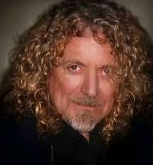 I found out the photo. Dawn Anglin is Robert Plant's girlfriend since 2020.  Good night everyone !