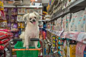 Super nice staff, really knowledgeable for recs, and has a very cool selection of aquatic little creatures & necessities. Best Pet Shops To Buy Pet Food And Supplies In Hong Kong Little Steps