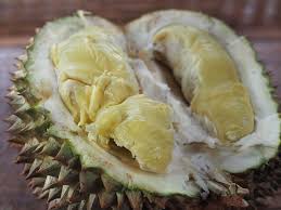 Download gambar buah durian unik segar di gambargambarbuah. 4 Epic Jepara Durian Stops In Kecapi Telahap Year Of The Durian
