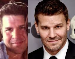 Celebrity Look-A-Likes