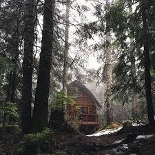 Dyer Jenkins Scrapbook Weekend Cabin Follow Othellonine Cabins In The Woods Cottage In The Woods Cabin Life