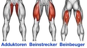 Beinmuskeltraining Gerate Ubungen Top 5 Bilder Videos