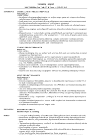 audit project manager resume samples