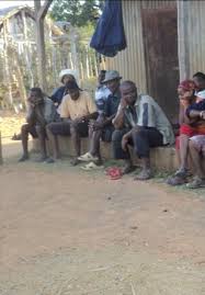 Image result for Hydrostachys myriophylla