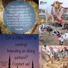 I'm a revert and my parents always cook non halal meat for dinner (no pork). Shark Meat Trading Home Facebook