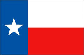 If you're putting together a baby's birthday party for the first time, it can be a bit stressful. Texas Party Theme Birthday Party Ideas