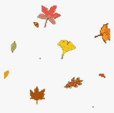 Colorful fall leaves blow in a rectangular animated gif border. Transparent Fall Leaves Falling Png Falling Maple Leaves Gif Png Download Kindpng