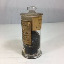 As low as $6.14 each. Antique Glass Apothecary Jar Pharmaceutical Society Museum Great Britain Chrysanthemum Indicum Wheeler Antiques