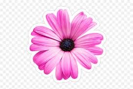 Garena free fire keyboard es una app donde encontraras tácticas avanzadas y consejos para arrasar en las batallas de free fire. Purple Daisy Flower Flor Margaritas Violeta Fondo Blanco Emoji Car Grandma Flower Emoji Free Transparent Emoji Emojipng Com