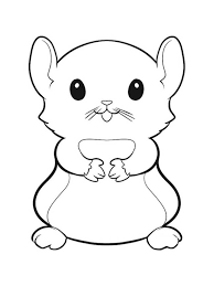 Os hamsters são conhecidos por serem adoráveis, correndo em suas pequenas rodas ou bolas ou mordendo em. Desenhos De Adoravel Hamster 5 Para Colorir E Imprimir Colorironline Com