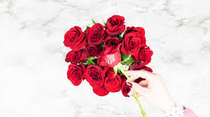 Roses and lilies, for example, are a beautiful, simple way to break the ice on a first date—friendly, yet still romantic. 1 800 Flowers Com Conversation Roses I Love You Youtube