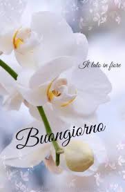 May 24, 2021 · l'autrice, intervistata da dorotea gambardella, ripercorrerà «le suggestioni e la magia delle immagini evocate dal racconto nel centro storico di roma, dalla statua di giordano bruno a campo. 45 Buongiorno Immagini Belle Per Il Tuo Whatsapp Lebelleimmagini It
