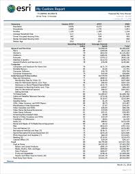 Share Your Custom Business Analyst Reports Through Arcgis Online