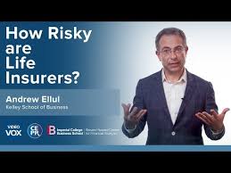 How risky are life insurers?