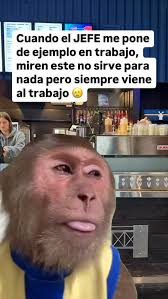 Abner Jhosef Caceres