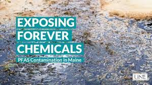 Why PFAS are so impervious, and who is most at risk from the forever  chemicals - YouTube