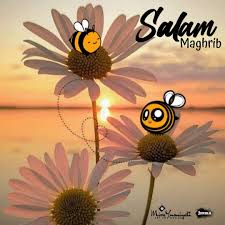 Sebagian petani menjual untuk komoditas pakan ternak dan. Sqlam Maghrib Good Morning Quotes Morning Quotes Islamic Quotes
