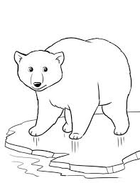 There are tons of great resources for free printable color pages online. Best Photos Of Arctic Animals Coloring Pages Polar Bears Arctic Coloring Library