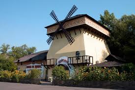 images?q=tbn:ANd9GcR_82iFqDtrTMVF_sMyM_zCD9Aoua3zzHLecA&s