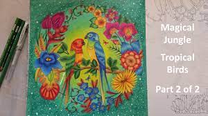 Sharing how i color the magical jungle using prismacolor colored pencils.coloring book: Color Along Tropical Birds Part 2 2 Magical Jungle Coloring Book By Johanna Basford Youtube