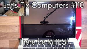 If you use biocides such as diluted bleach and vinegar, the mold on the fabric dies, but the mycotoxins continue to be an. How To Get Rid Of Computer Mites In Your Laptop Fast And Easy Bugwiz
