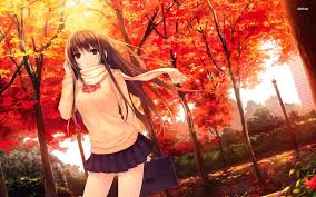 We have an extensive collection of amazing background images carefully chosen by our community. 110 Anime Fall